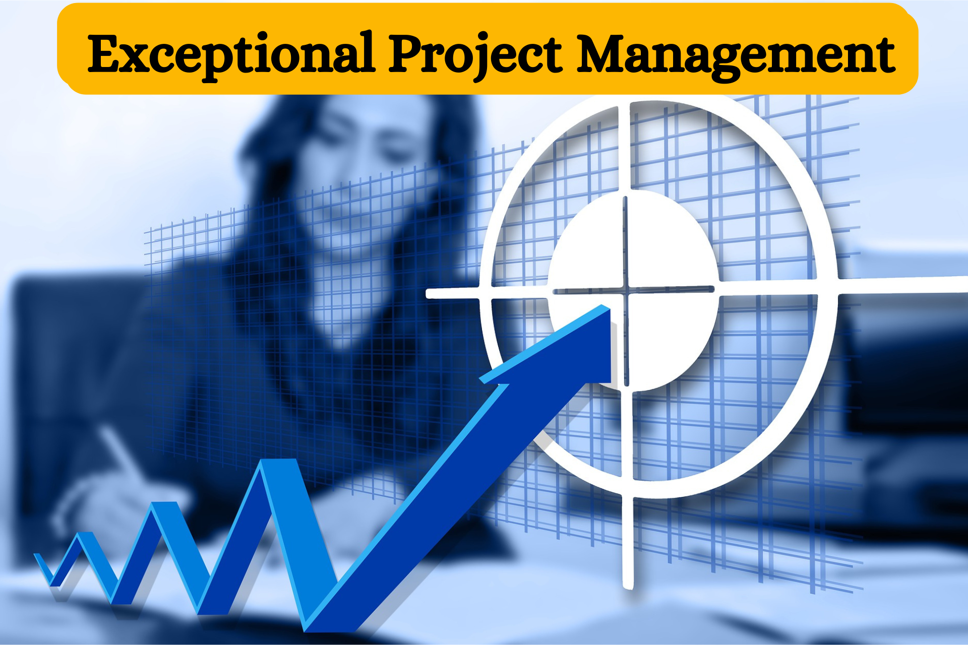 Project Management Services